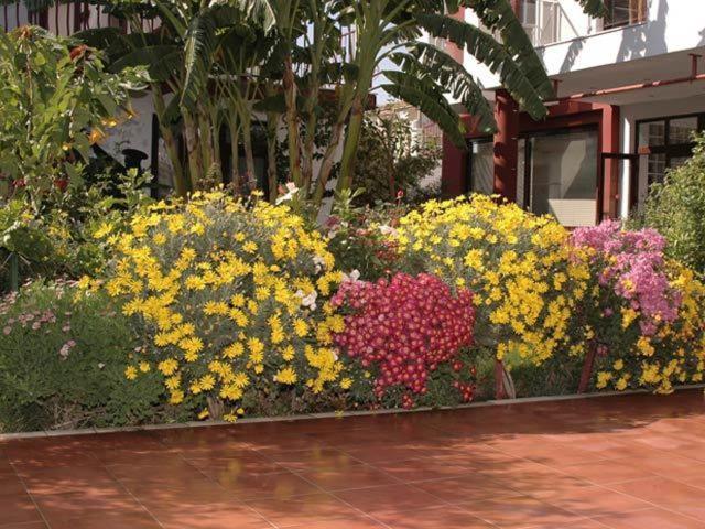 Side Elis Hotel Exterior photo